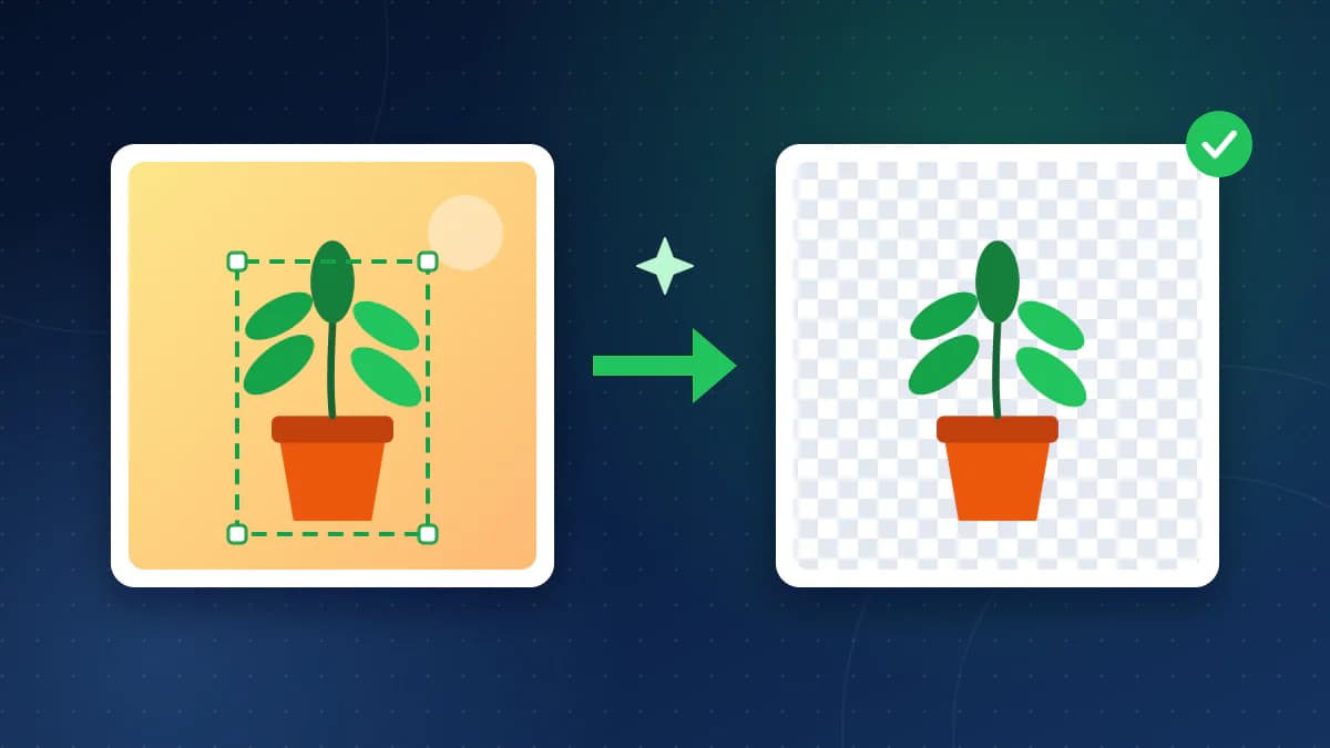 A potted plant on a warm photo background with a dashed green selection box, an arrow, and the same plant cut out on a grey and white transparency checkerboard